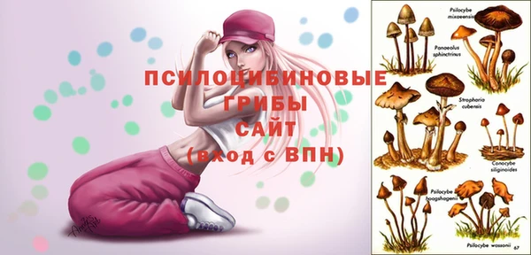 мяу мяу кристалл Верея